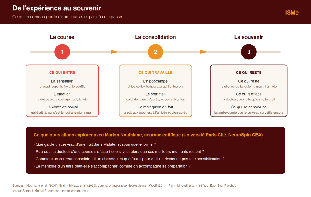 ISMe infographie experience souvenir