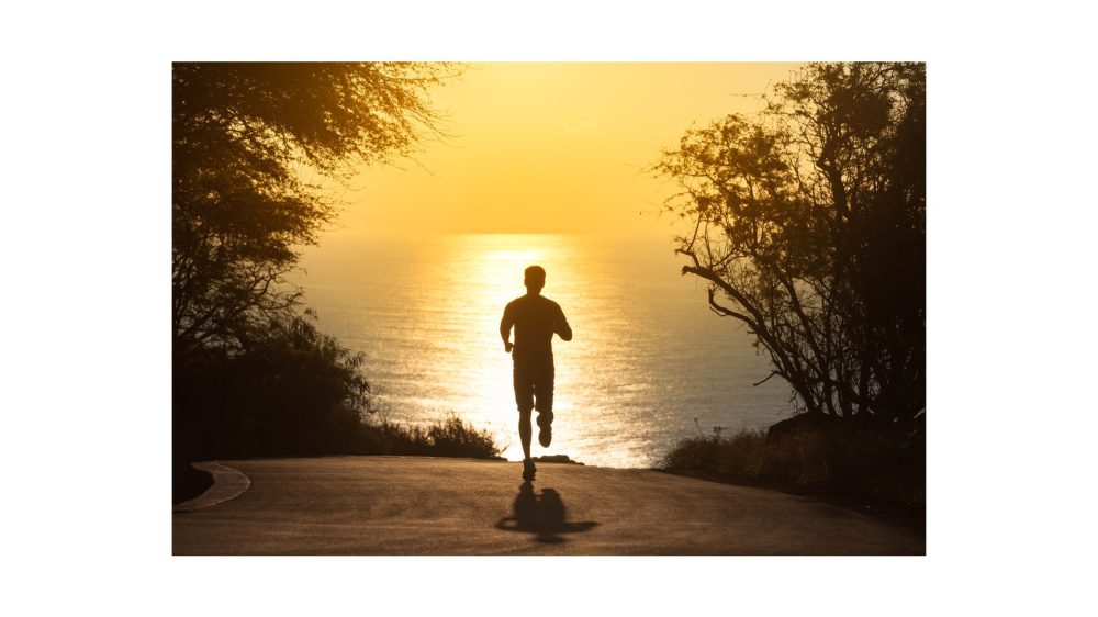 Article vision en trail